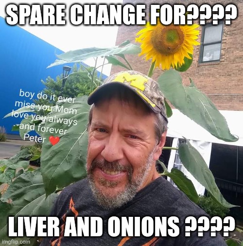 Spare Change For??? | SPARE CHANGE FOR???? LIVER AND ONIONS ???? | image tagged in peter plant,liver,onions,funny,memes | made w/ Imgflip meme maker