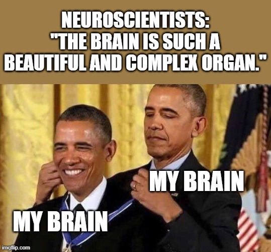 neuroscientists | NEUROSCIENTISTS: "THE BRAIN IS SUCH A BEAUTIFUL AND COMPLEX ORGAN."; MY BRAIN; MY BRAIN | image tagged in obama medal | made w/ Imgflip meme maker