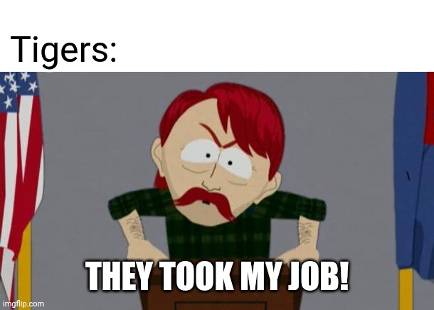 They took our jobs stance (South Park) | Tigers: THEY TOOK MY JOB! | image tagged in they took our jobs stance south park | made w/ Imgflip meme maker