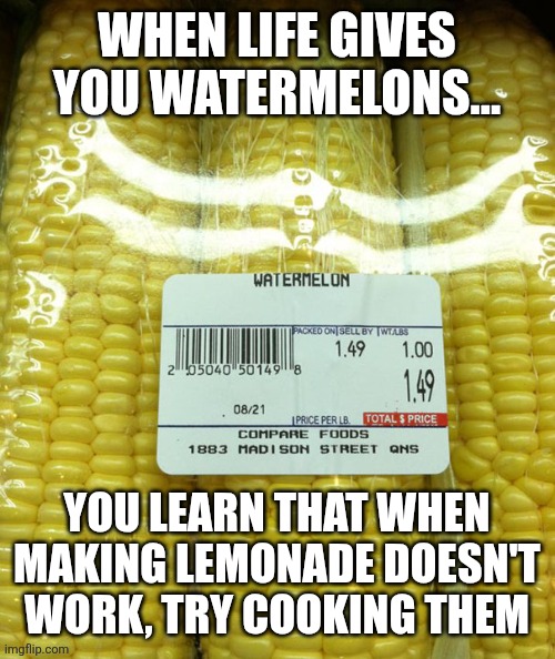 Food fails | WHEN LIFE GIVES YOU WATERMELONS... YOU LEARN THAT WHEN MAKING LEMONADE DOESN'T WORK, TRY COOKING THEM | image tagged in food fails | made w/ Imgflip meme maker