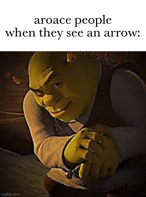 aroace (random stuff from "unsubmitted" #2) | aroace people when they see an arrow: | image tagged in what | made w/ Imgflip meme maker