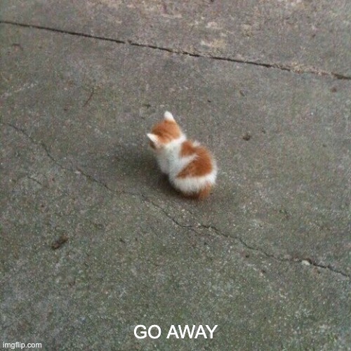 go away | GO AWAY | image tagged in funny,cats,cat,grumpy cat,go away | made w/ Imgflip meme maker