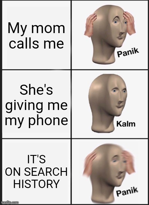 Panik Kalm Panik | My mom calls me; She's giving me my phone; IT'S ON SEARCH HISTORY | image tagged in memes,panik kalm panik | made w/ Imgflip meme maker