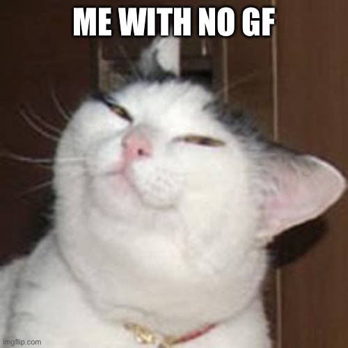 smug cat | ME WITH NO GF | image tagged in smug cat | made w/ Imgflip meme maker