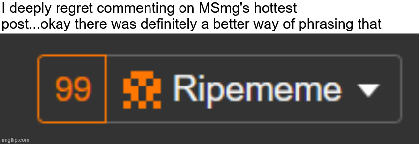 I deeply regret commenting on MSmg's hottest post...okay there was definitely a better way of phrasing that | made w/ Imgflip meme maker