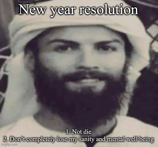 Muslimano Ronaldo | New year resolution; 1. Not die
2. Don’t completely lose my sanity and mental well being | image tagged in muslimano ronaldo | made w/ Imgflip meme maker
