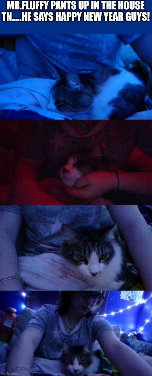 yes,my cats name is actually Mr.fluffy pants | MR.FLUFFY PANTS UP IN THE HOUSE TN.....HE SAYS HAPPY NEW YEAR GUYS! | made w/ Imgflip meme maker