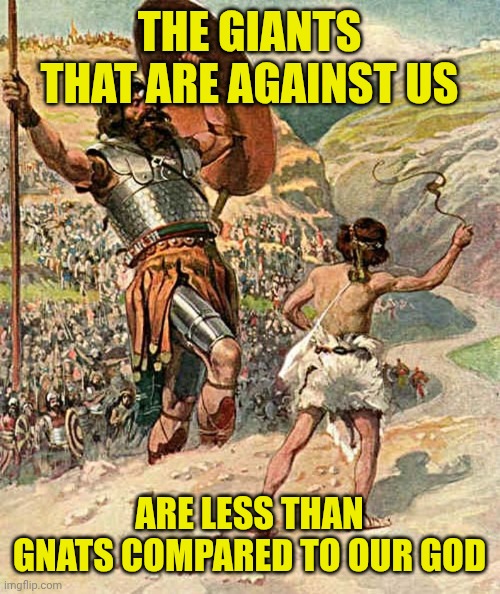 David and Goliath | THE GIANTS THAT ARE AGAINST US; ARE LESS THAN GNATS COMPARED TO OUR GOD | image tagged in david and goliath | made w/ Imgflip meme maker