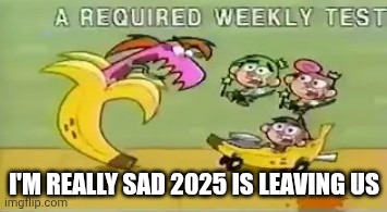 a required weekly test | I'M REALLY SAD 2025 IS LEAVING US | image tagged in a required weekly test | made w/ Imgflip meme maker