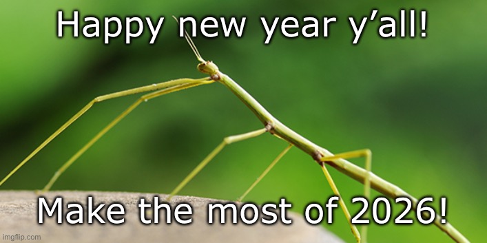 (btw the great meme reset isn’t happening) | Happy new year y’all! Make the most of 2026! | image tagged in thewalkingstick template,happy new year,new years,new year,new years eve,2026 | made w/ Imgflip meme maker