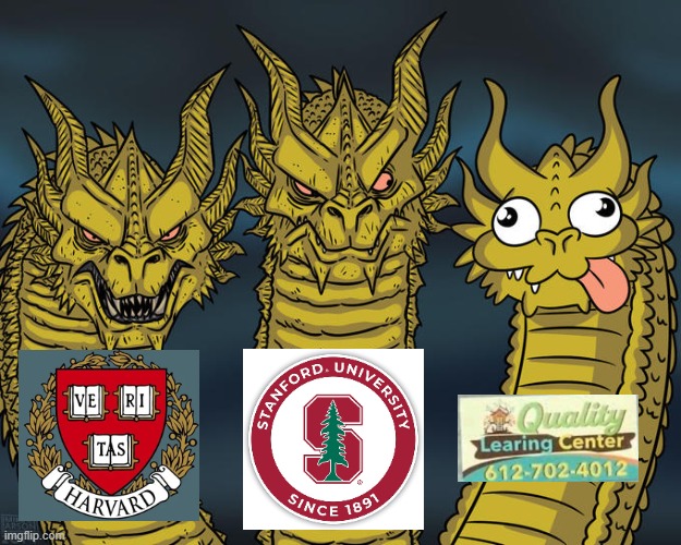 Quality Learning | image tagged in three-headed dragon | made w/ Imgflip meme maker