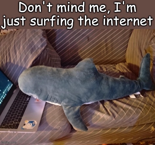 friend got me a blahaj for xmas (this is my fav gift..... but i'm not sure if this is the right place to post this( | image tagged in blahaj | made w/ Imgflip meme maker