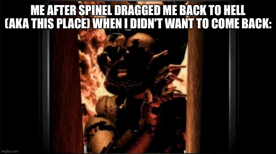 While it is nice that everyone SEEMS to be getting along, it feels like my "final departure" meant nothing. | ME AFTER SPINEL DRAGGED ME BACK TO HELL (AKA THIS PLACE) WHEN I DIDN'T WANT TO COME BACK: | image tagged in spinel please dont be mad i'm not upset at you | made w/ Imgflip meme maker