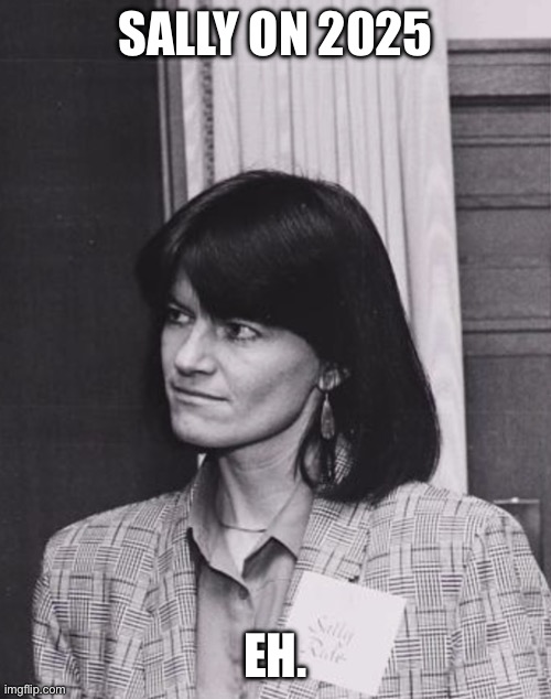 Sally on 2025 | SALLY ON 2025; EH. | image tagged in sally 2025,newyear,nasa,space,space shuttle,2025 | made w/ Imgflip meme maker