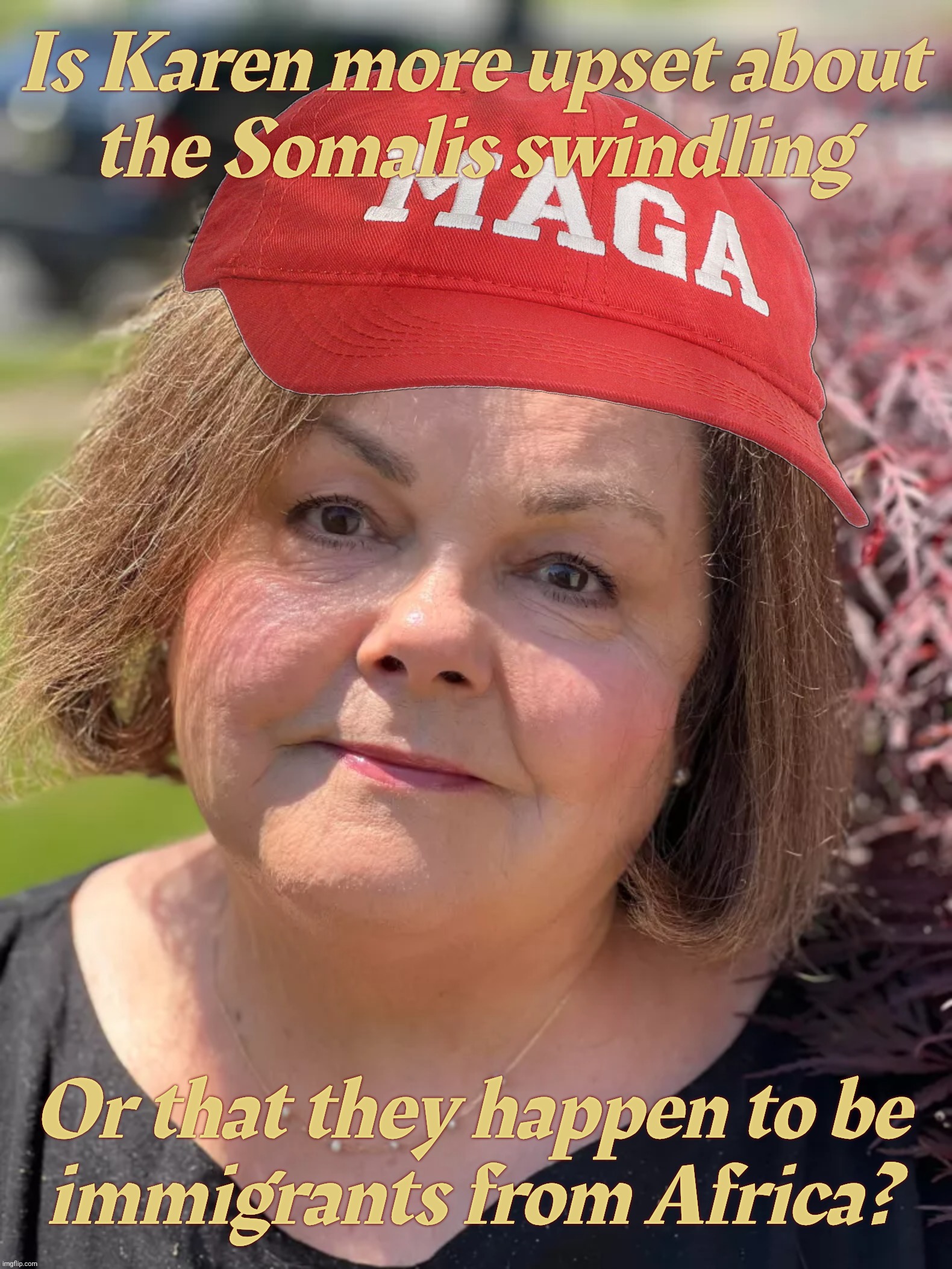 Is Karen more upset about
the Somalis swindling; Or that they happen to be
immigrants from Africa? | made w/ Imgflip meme maker
