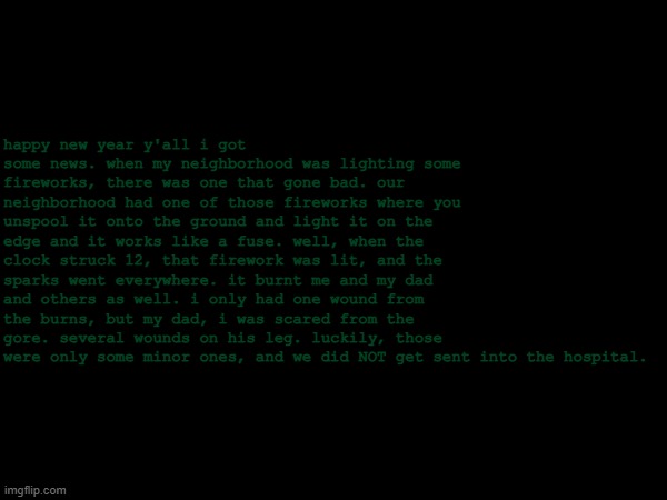 happy new year everybody | happy new year y'all i got some news. when my neighborhood was lighting some fireworks, there was one that gone bad. our neighborhood had one of those fireworks where you unspool it onto the ground and light it on the edge and it works like a fuse. well, when the clock struck 12, that firework was lit, and the sparks went everywhere. it burnt me and my dad and others as well. i only had one wound from the burns, but my dad, i was scared from the gore. several wounds on his leg. luckily, those were only some minor ones, and we did NOT get sent into the hospital. | image tagged in happy new year | made w/ Imgflip meme maker