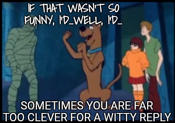 IF THAT WASN'T SO FUNNY, I'D...WELL, I'D... SOMETIMES YOU ARE FAR TOO CLEVER FOR A WITTY REPLY | image tagged in rumble | made w/ Imgflip meme maker
