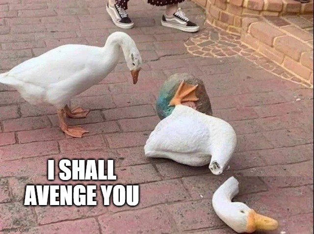 I SHALL AVENGE YOU | image tagged in ducks | made w/ Imgflip meme maker
