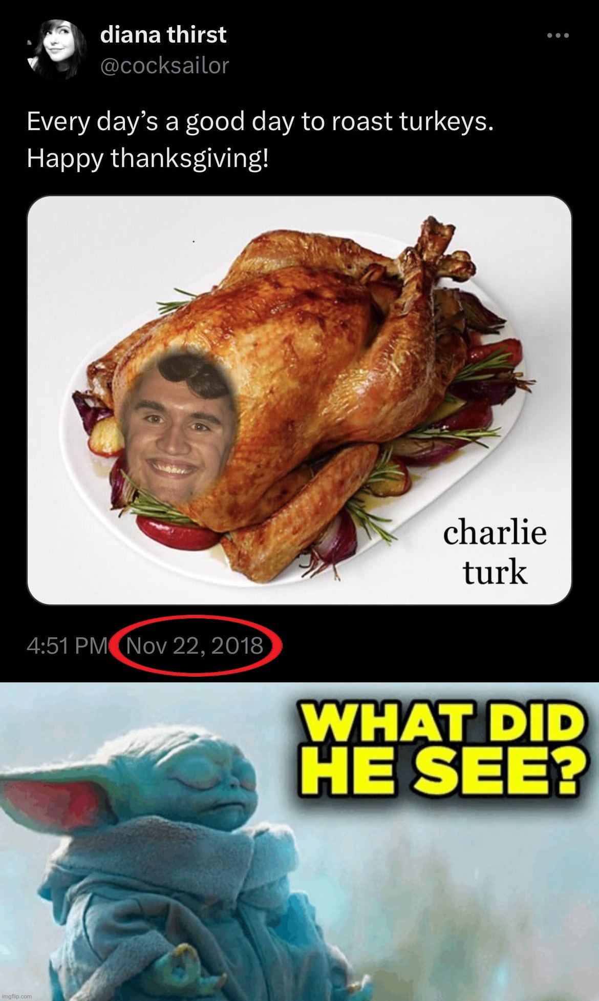 image tagged in baby yoda what did he see | made w/ Imgflip meme maker