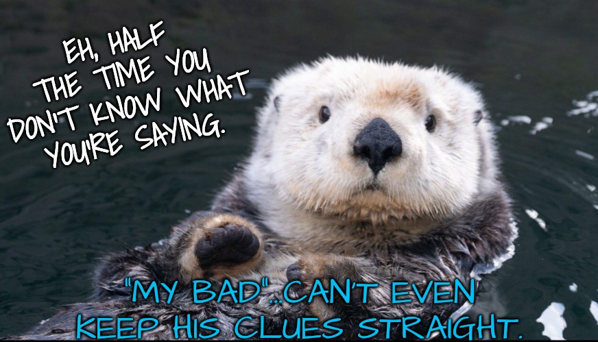 EH, HALF THE TIME YOU DON'T KNOW WHAT YOU'RE SAYING. "MY BAD"...CAN'T EVEN KEEP HIS CLUES STRAIGHT. | image tagged in otter | made w/ Imgflip meme maker