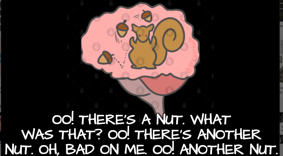 OO! THERE'S A NUT. WHAT WAS THAT? OO! THERE'S ANOTHER NUT. OH, BAD ON ME. OO! ANOTHER NUT. | made w/ Imgflip meme maker