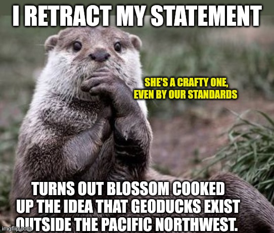 I RETRACT MY STATEMENT TURNS OUT BLOSSOM COOKED UP THE IDEA THAT GEODUCKS EXIST OUTSIDE THE PACIFIC NORTHWEST. SHE'S A CRAFTY ONE, EVEN BY O | image tagged in questioning otter | made w/ Imgflip meme maker
