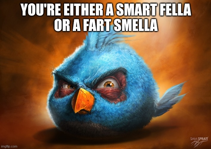 angry birds blue | YOU'RE EITHER A SMART FELLA
OR A FART SMELLA | image tagged in angry birds blue | made w/ Imgflip meme maker