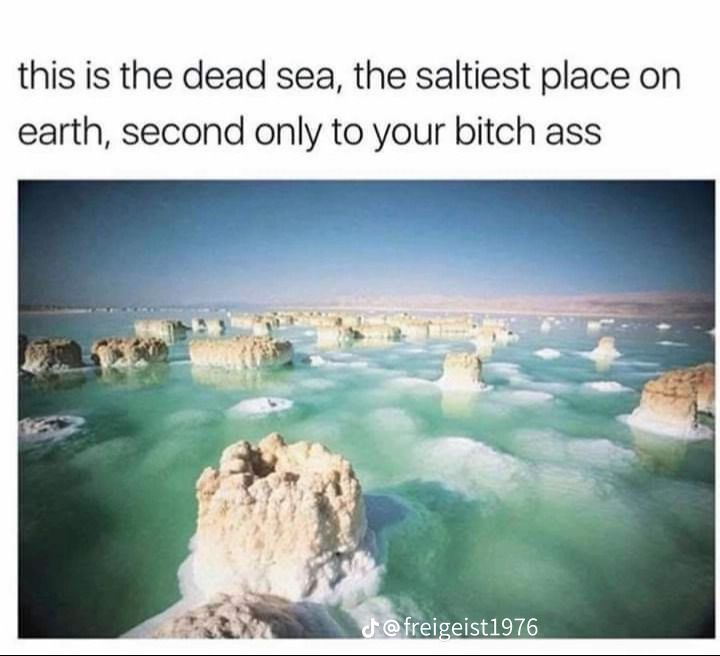 Dead sea Blank Meme Template