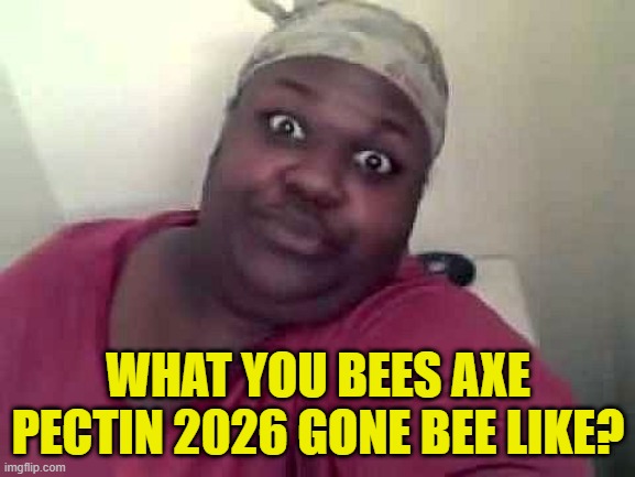 I predict an AI bubble crash that brings down all global markets | WHAT YOU BEES AXE PECTIN 2026 GONE BEE LIKE? | image tagged in black woman,prediction,nostradamus,2026,in the future,forecast | made w/ Imgflip meme maker
