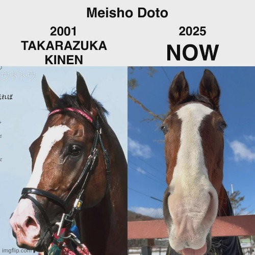 Umamusume | made w/ Imgflip meme maker