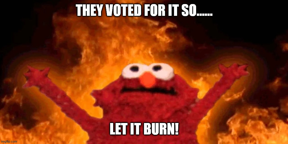 THEY VOTED FOR IT SO...... LET IT BURN! | image tagged in let it burn | made w/ Imgflip meme maker