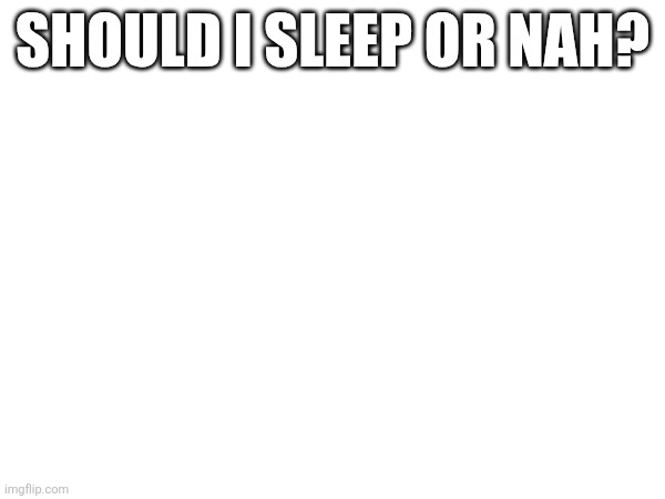 SHOULD I SLEEP OR NAH? | made w/ Imgflip meme maker