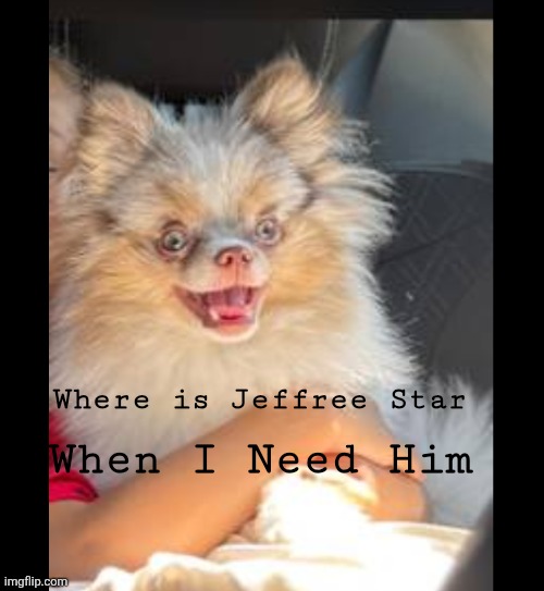 #NeedJefreeStartoReact | Where is Jeffree Star; When I Need Him | image tagged in funny memes | made w/ Imgflip meme maker