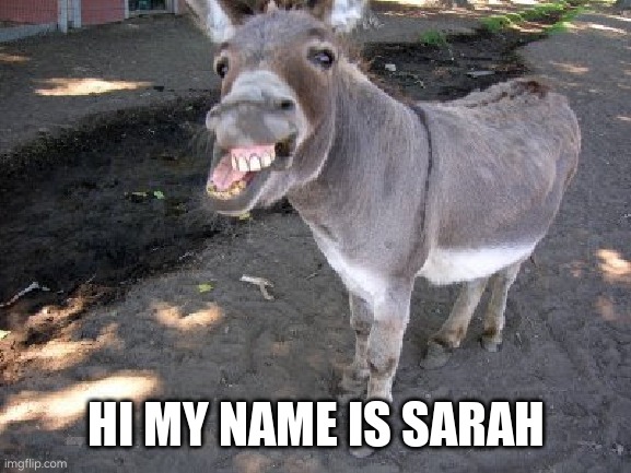 Ugly Donkey | HI MY NAME IS SARAH | image tagged in ugly donkey | made w/ Imgflip meme maker