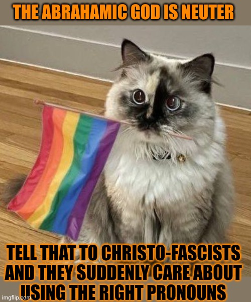 This #lolcat tells evangelicals that God has no gender | THE ABRAHAMIC GOD IS NEUTER; TELL THAT TO CHRISTO-FASCISTS 
AND THEY SUDDENLY CARE ABOUT 
USING THE RIGHT PRONOUNS | image tagged in god,gender identity,homophobia,transphobic,lolcat | made w/ Imgflip meme maker