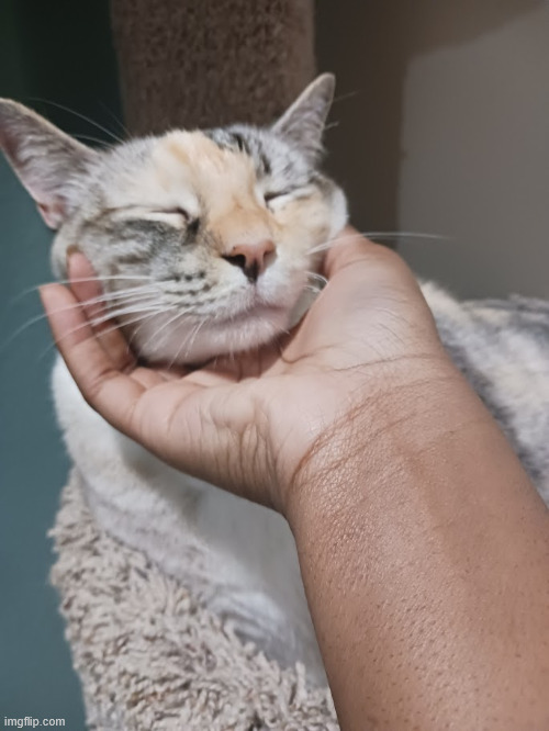 sweet baby | made w/ Imgflip meme maker