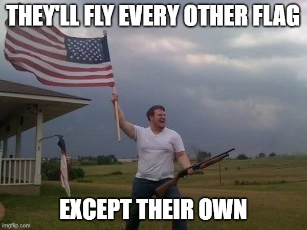 American flag shotgun guy | THEY'LL FLY EVERY OTHER FLAG EXCEPT THEIR OWN | image tagged in american flag shotgun guy | made w/ Imgflip meme maker