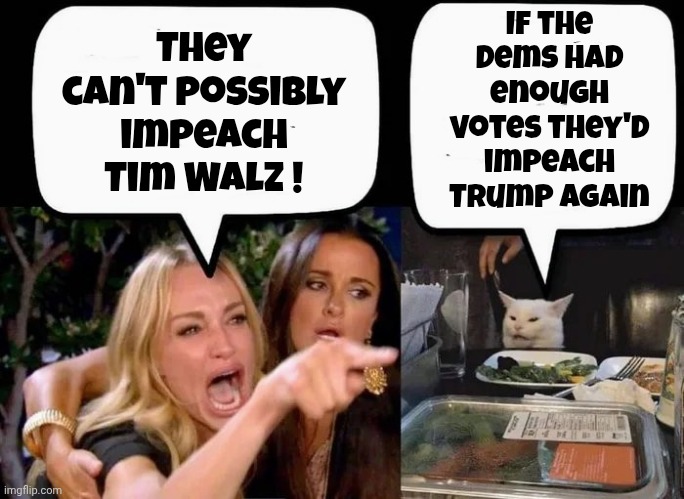 No One Is Above The Law ? | If the Dems had enough votes they'd impeach Trump again; They can't possibly impeach Tim Walz ! | image tagged in don't eat the cat,democrats democratting,government corruption,ok we're democrats,biased system | made w/ Imgflip meme maker