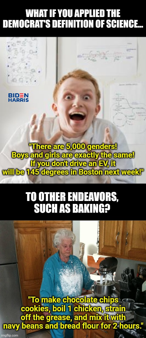 Since Democrats believe genders are fluid, science is fluid and free speech is fluid, what else can be fluid? Or not? | WHAT IF YOU APPLIED THE DEMOCRAT'S DEFINITION OF SCIENCE... "There are 5,000 genders! Boys and girls are exactly the same! If you don't drive an EV, it will be 145 degrees in Boston next week!"; TO OTHER ENDEAVORS, SUCH AS BAKING? "To make chocolate chips cookies, boil 1 chicken, strain off the grease, and mix it with navy beans and bread flour for 2 hours." | image tagged in overly excited scientist,grandma vs mixer,liberal logic,crying democrats,dumb people,think about it | made w/ Imgflip meme maker