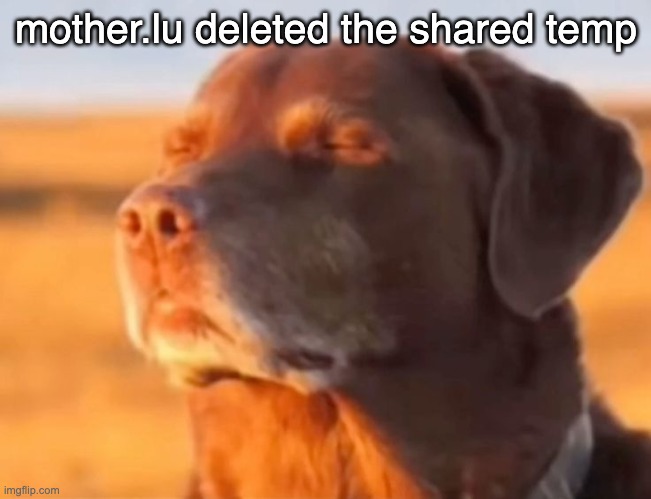 Let me know dog | mother.lu deleted the shared temp | image tagged in let me know dog | made w/ Imgflip meme maker