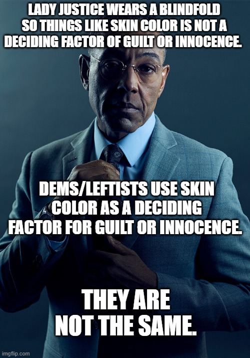 LADY JUSTICE WEARS A BLINDFOLD SO THINGS LIKE SKIN COLOR IS NOT A DECIDING FACTOR OF GUILT OR INNOCENCE. DEMS/LEFTISTS USE SKIN COLOR AS A D | image tagged in gus fring we are not the same | made w/ Imgflip meme maker