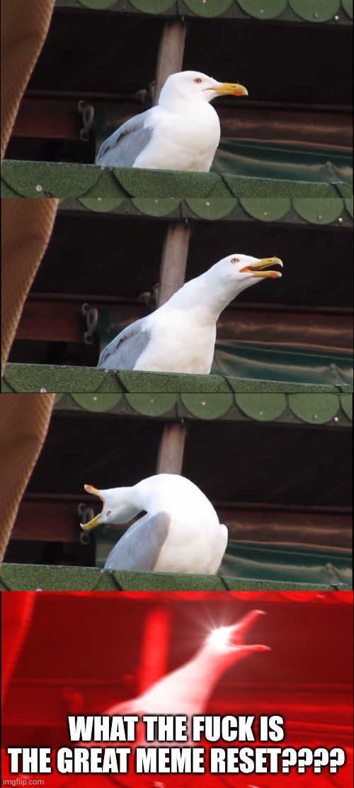 great meme whatset? | WHAT THE FUCK IS THE GREAT MEME RESET???? | image tagged in memes,inhaling seagull | made w/ Imgflip meme maker