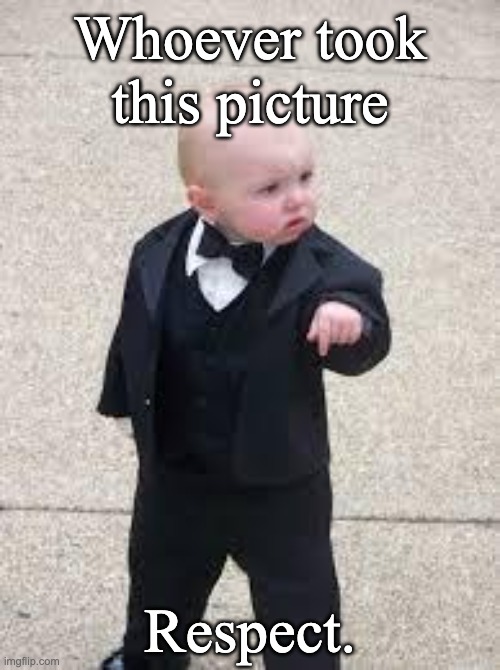 mafia baby | Whoever took this picture; Respect. | image tagged in mafia baby | made w/ Imgflip meme maker