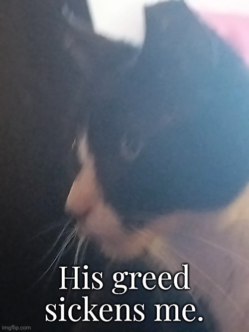 fucker steals my breakfast EVERY time | His greed sickens me. | made w/ Imgflip meme maker
