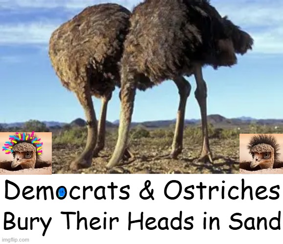 No offense to the ostriches . . . | Democrats & Ostriches; Bury Their Heads in Sand | image tagged in just sayin',they are the same picture,ignore,facts,reality,alternate reality | made w/ Imgflip meme maker