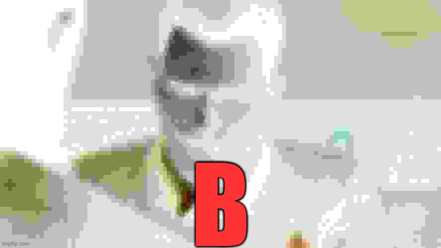 B | image tagged in 28 stab wounds | made w/ Imgflip meme maker