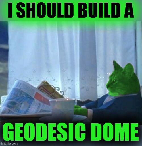 I SHOULD BUILD A GEODESIC DOME | image tagged in i should buy a boat raycat | made w/ Imgflip meme maker