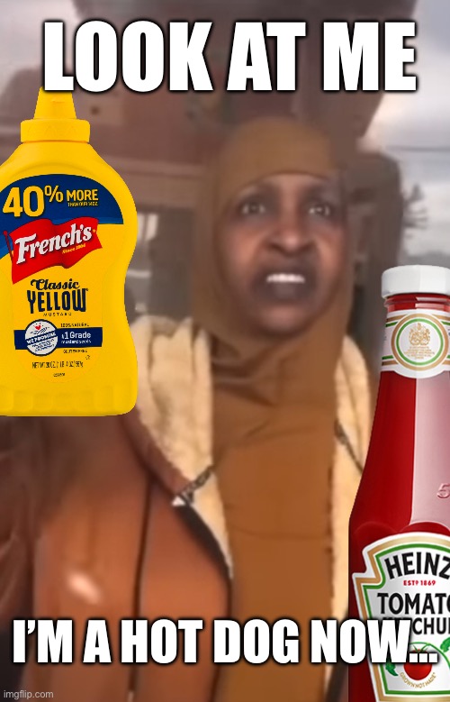 Look At Me | LOOK AT ME; I’M A HOT DOG NOW… | image tagged in oscar meyer learing center | made w/ Imgflip meme maker