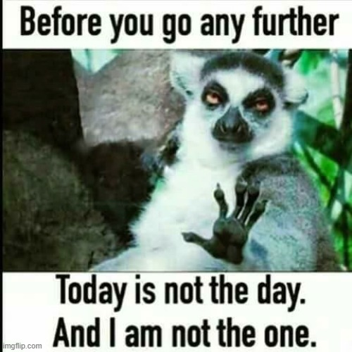 Don't Mess With Me | image tagged in repost | made w/ Imgflip meme maker