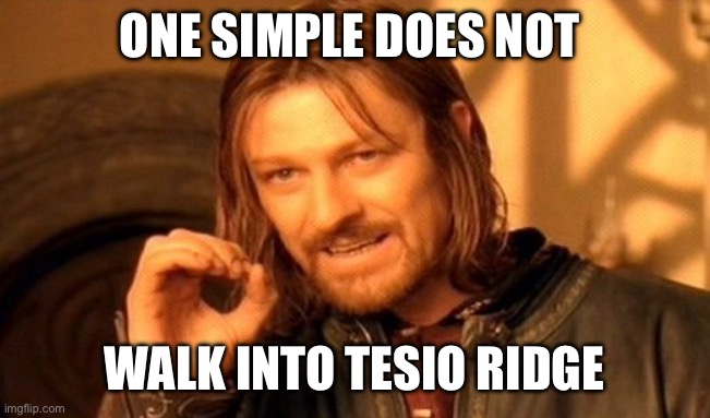 One Does Not Simply Meme | ONE SIMPLE DOES NOT; WALK INTO TESIO RIDGE | image tagged in memes,one does not simply | made w/ Imgflip meme maker